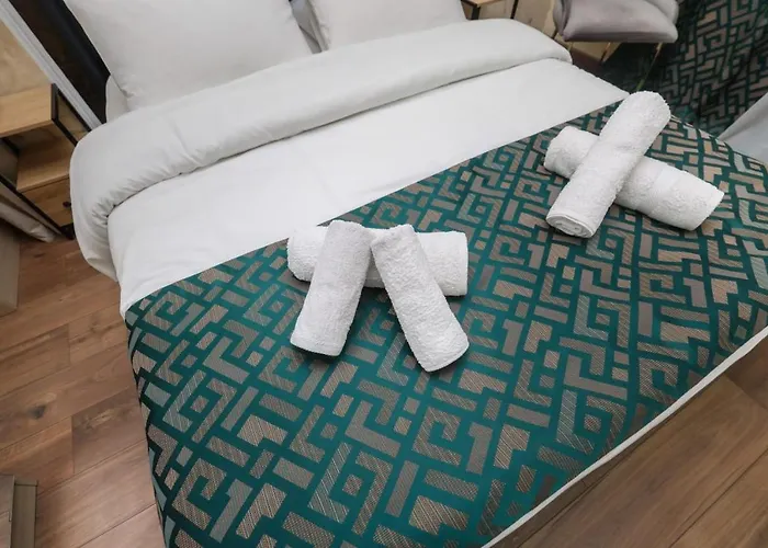 Apartament De Luxe A Lyon